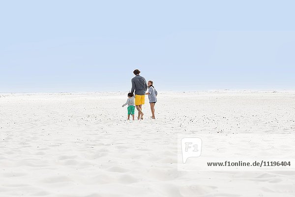 Man with his children walking on the beach