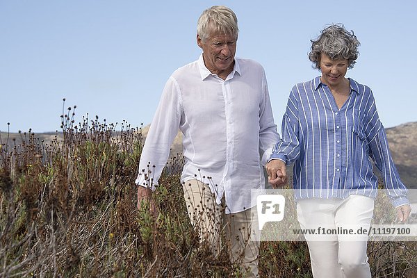 Glückliches Seniorenpaar beim Spaziergang durch die Graslandschaft