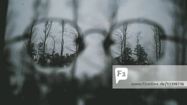 Selektive Schärfeansicht von Bäumen und fallendem Schnee durch eine Brille