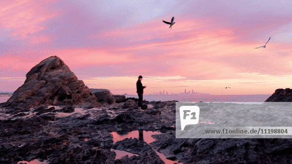 Mann fotografiert Vögel mit seinem Telefon am Strand bei Sonnenuntergang