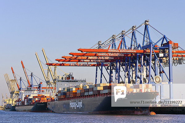 Containerterminal Burchardkai  Hamburg harbour  Hamburg  Germany  Europe