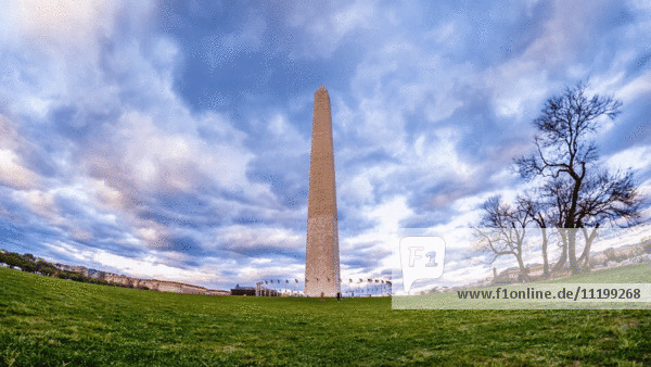 Washington Monument bei Sonnenuntergang mit amerikanischen Flaggen weht im Wind gegen bewegten Himmel,  Washington,  DC,  USA