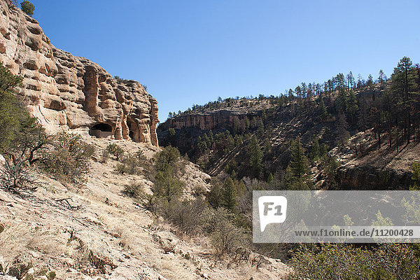 Gila Cliff Dwellings National Monument  Gila Wilderness  New Mexico  USA