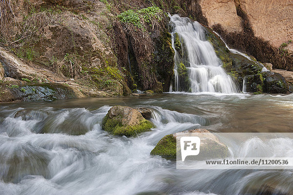 Über Felsen fließender Bach im Zion National Park  Utah  USA