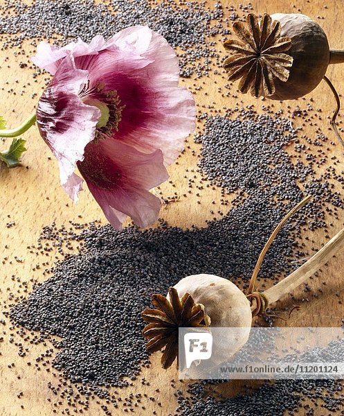 A poppy and seeds