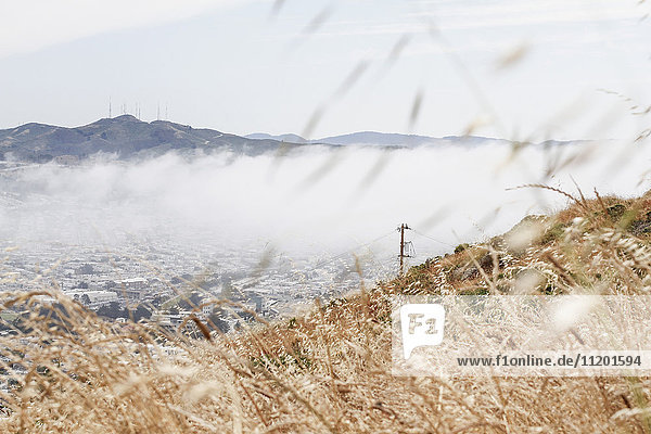 Landschaftsbild bei Nebelwetter  San Francisco  Kalifornien  USA
