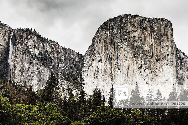 Blick auf Bäume  die gegen felsige Berge wachsen  Yosemite Nationalpark  Kalifornien  USA