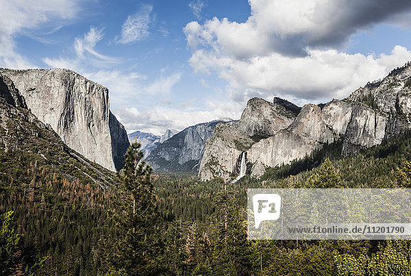 Scenic view of trees growing against rocky mountains  Yosemite National Park  California  USA
