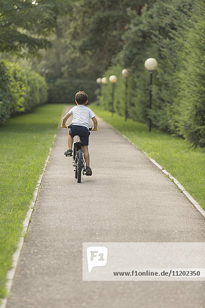 Rear view of boy cycling on road amidst grassy field in park