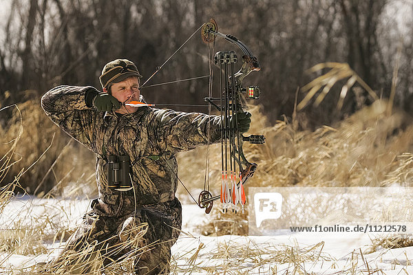 Bowhunter Draws Bow hunting for Whitetail deer
