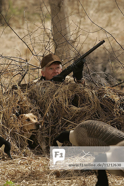 Waterfowl Hunter With Yellow Lab
