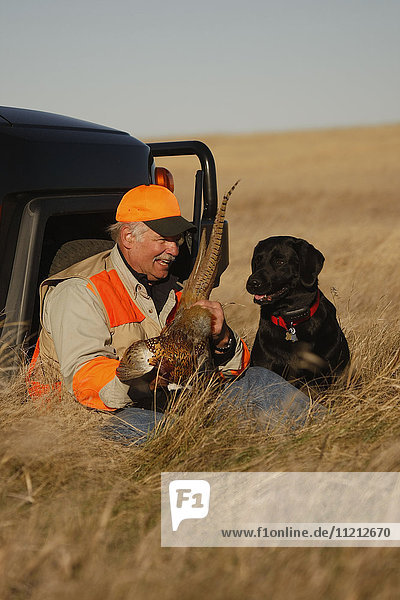 Pheasant Hunter With Lab In Field
