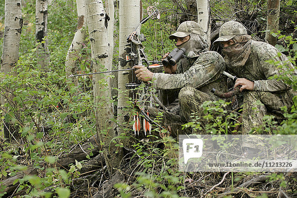 Elk Bowhunters
