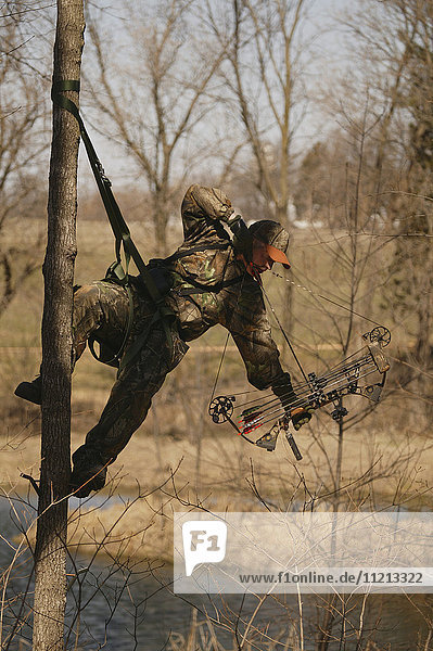 Bowhunter Hangs From Tree Saddle While Deer Hunting