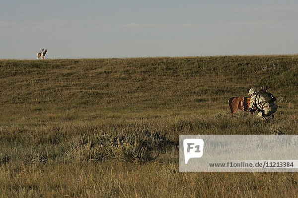Man Hunting Antelope In A Field