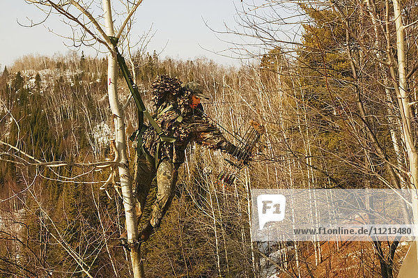 Bowhunter In Tree Saddle Drawing Bow