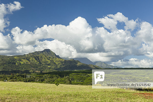 'View towards Kapalaoa Peak near Kalaheo; Kauai  Hawaii  United States of America'