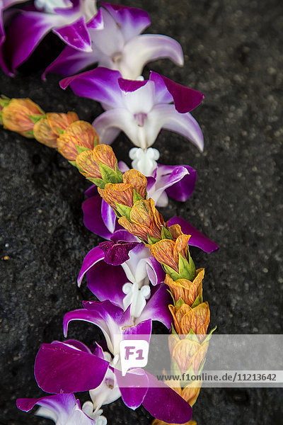 Ein Lei mit bunten tropischen Blumen; Hawaii  Vereinigte Staaten von Amerika'.