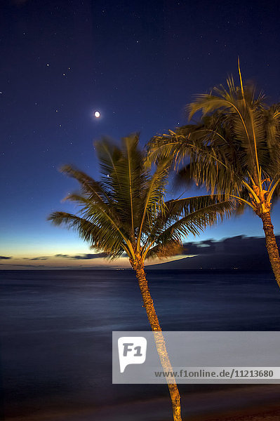 Mond und Sterne am Nachthimmel mit Palmen an der Küste im Vordergrund; Maui  Hawaii  Vereinigte Staaten von Amerika'.