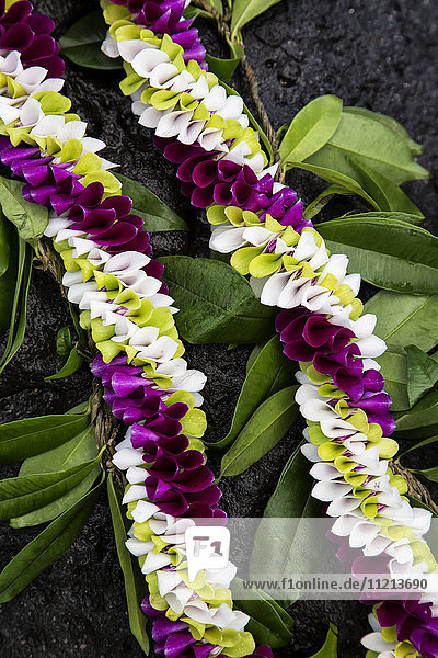 Frische tropische Blumenkränze; Maui  Hawaii  Vereinigte Staaten von Amerika'.