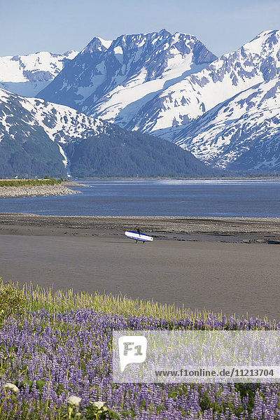 A surfer comes out of the water near Peterson Creek (Mile 84 Seward Hwy) after riding a bore tide. Summer. Turnagain Arm in Southcentral Alaska.