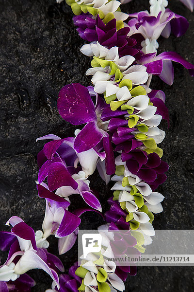 Frischblumen-Lei auf schwarzem Lavagestein; Maui  Hawaii  Vereinigte Staaten von Amerika'.