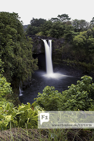 Wasserfall in üppigem Laub; Hawaii  Vereinigte Staaten von Amerika'.