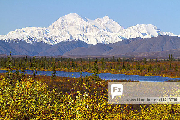 Blick auf den Denali vom Parks Hwy. südlich von Cantwell  Alaska. September. Inneres Alaska.