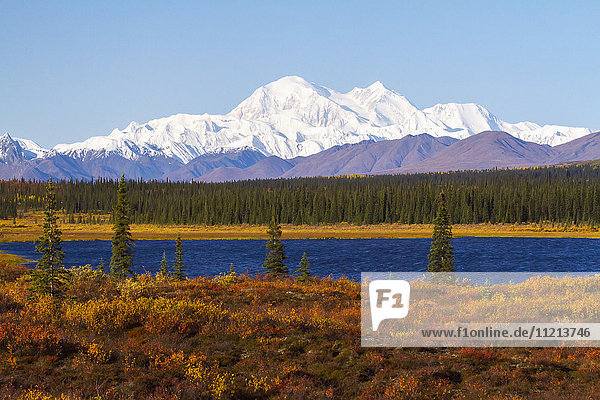 View of Denali from the Parks Hwy. South of Cantwell  Alaska. September. Interior Alaska.
