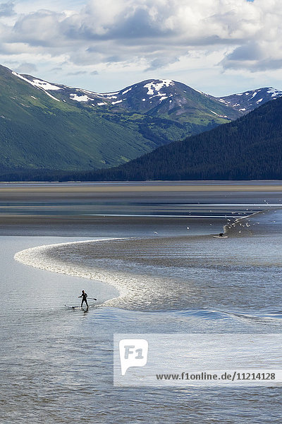 Menschen reiten auf Paddelbrettern durch die Flut  Turnagain Arm  Southcentral Alaska  Sommer