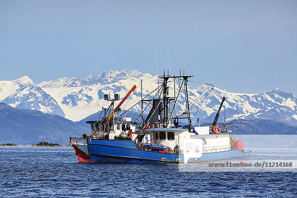 Zwei kommerzielle Fischerboote auf den Gewässern der Main Bay bei Whittier  Prince William Sound  Southcentral Alaska  USA