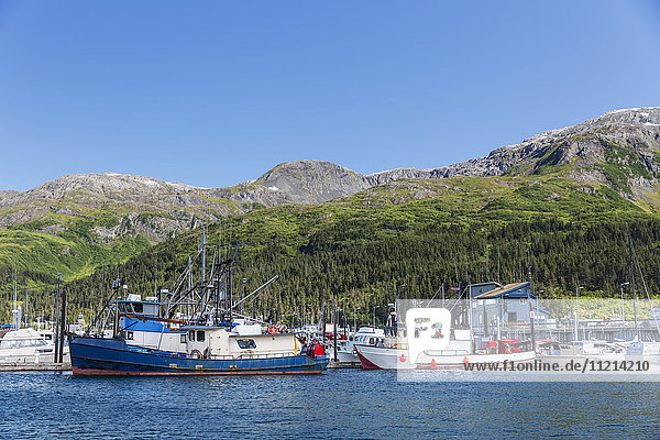Boats docked at the Passage Canal Harbor in Prince William Sound  clear Sunny skies overhead  Whittier  South Central Alaska  USA  Summer