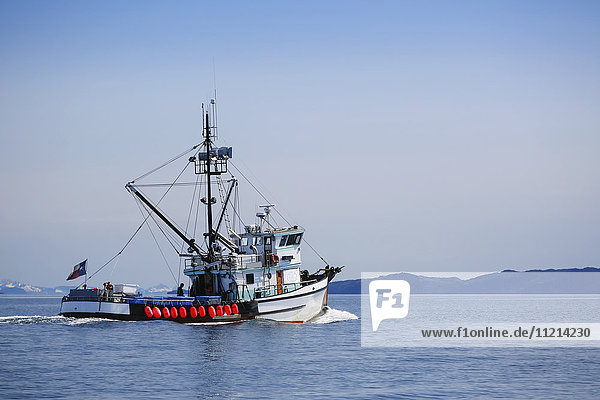 A commercial fishing boat on the waters of Main Bay  with the Chugach Mountains in the background  Prince William Sound  Whittier  Southcentral Alaska  USA