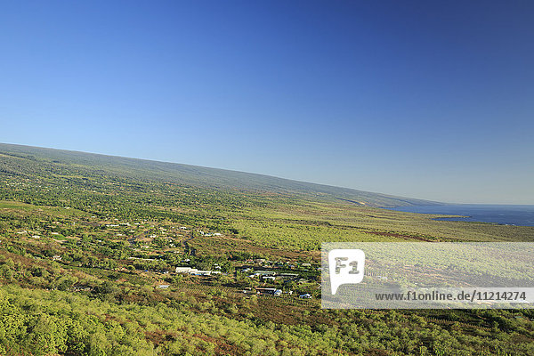 'View along South Kona Coast on Hawaii Island  with coffee farms in foreground  Mauna Loa  second highest mountain in Hawaii rises from the ocean in distance; Island of Hawaii  Hawaii  United States of America'