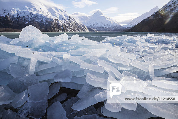 'Ice breakup at Portage Lake in the Portage Valley of South-central Alaska in winter; Alaska  United States of America'
