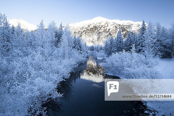 Winter landscape reflecting in creek  Portage Valley  Southcentral Alaska  USA
