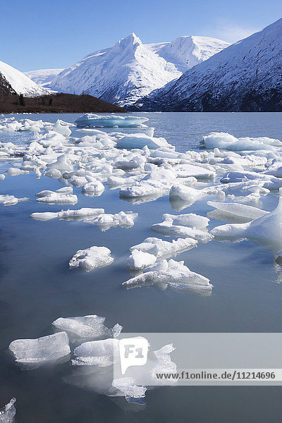 Ice chunks dot Portage Lake during spring break up  Portage Valley  Southcentral Alaska  USA
