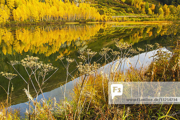'A small pond next to the Seward Highway at about Mile 88 in autumn  south-central Alaska; Alaska  United States of America'