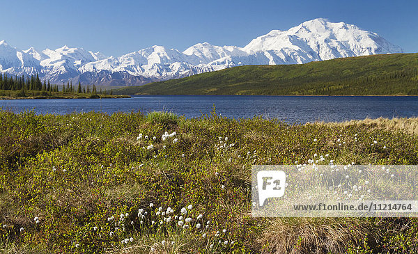Denali National Park and Preserve im Inneren Alaskas im Sommer  Mount McKinley und Alaska Range mit blauem Teich im Vordergrund; Alaska  Vereinigte Staaten von Amerika'.
