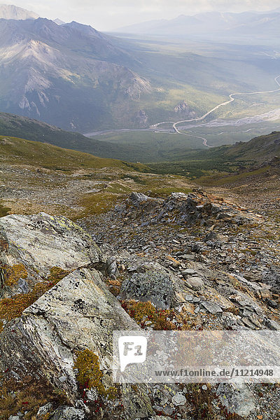 Savage River area near where the pavement ends and the gravel starts  near Mile 15  Denali National Park and Preserve  interior Alaska in summertime; Alaska  United States of America'.