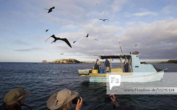 Fishermen sorting catch on fishing boat as Frigate birds swoop overhead