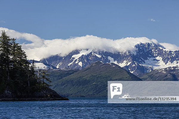 'A small passenger boat motors through the Passage Canal on a sunny day  forested hills and snow covered mountains in the background  Prince William Sound; Whittier  Alaska  United States of America'
