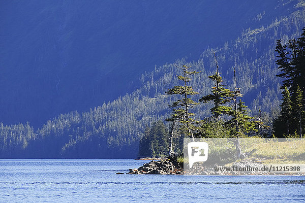 'Three evergreen trees grow on a rocky peninsula in the Culross Passage  forested mountainsides cast shadows in the background  Prince William Sound; Whittier  Alaska  United States of America'