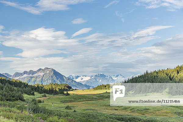 Das üppig grüne Tal des Turnagain Pass in den Kenai Mountains an einem teilweise bewölkten Tag  gesehen vom Seward Highway  Süd-Zentral-Alaska; Anchorage  Alaska  Vereinigte Staaten von Amerika'.