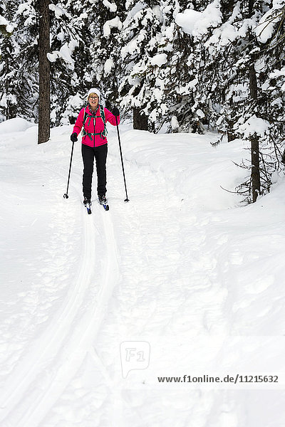 'Female cross country skier on groomed trail with snow covered trees; Lake Louise  Alberta  Canada'