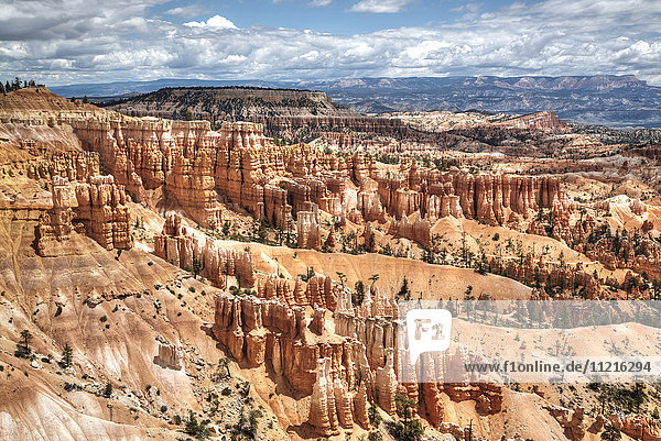 'Hoodoos viewed from the Rim Trail near Sunset Point  Bryce Canyon National Park; Utah  United States of America'