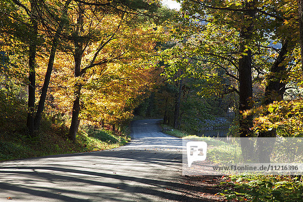 Landstraße im Herbst; Woodstock  Vermont  Vereinigte Staaten von Amerika'.