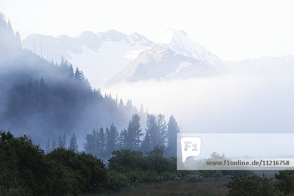 'Early morning fog in South-central Alaska; Alaska  United States of America'