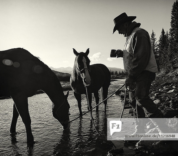 'Cowboy having his morning coffee at the edge of a river with his horses  Ya-Ha-Tinda Ranch  Clearwater County; Alberta  Canada'