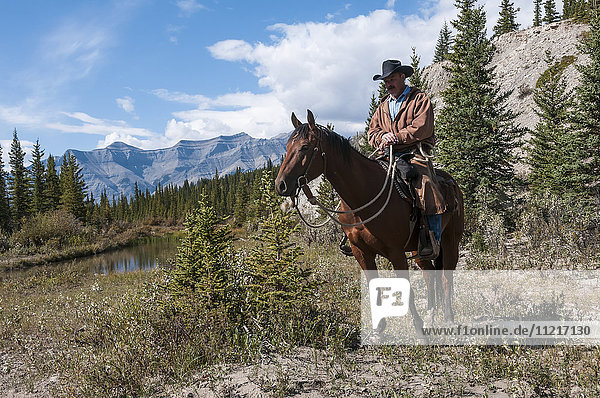 'Cowboy and horse  Ya-Ha-Tinda Ranch; Clearwater County  Alberta  Canada'